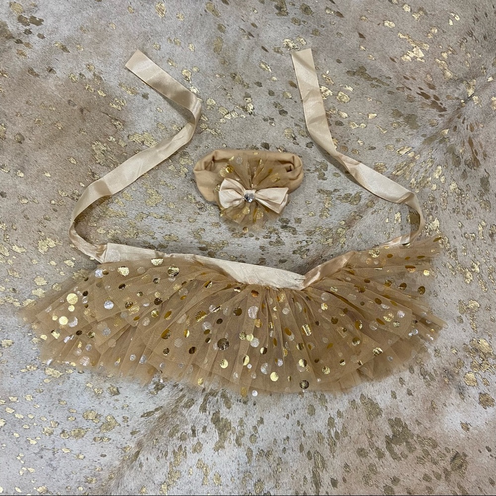 Baby Pictures Gold Sequin Skirt & Headband Set